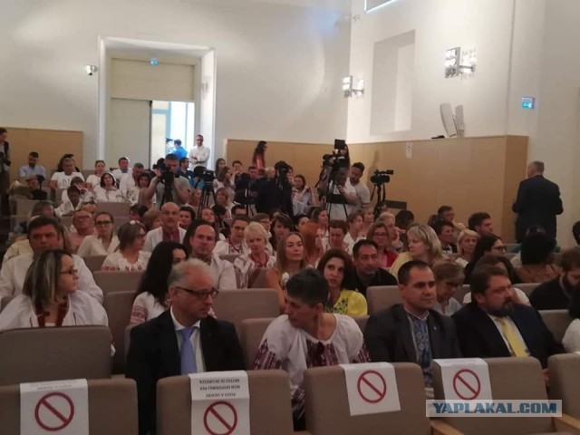 Боец украинской Нацгвардии приговорен к 24 годам тюрьмы за убийство репортера на Донбассе