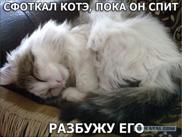 Нет-нет! Не снимайте меня...