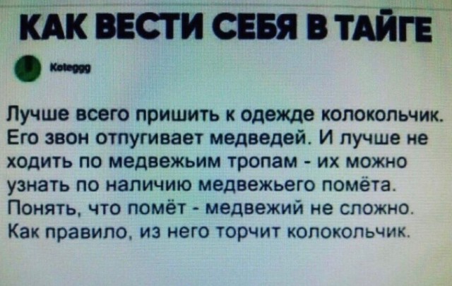 Выживешь ли ты в тайге?