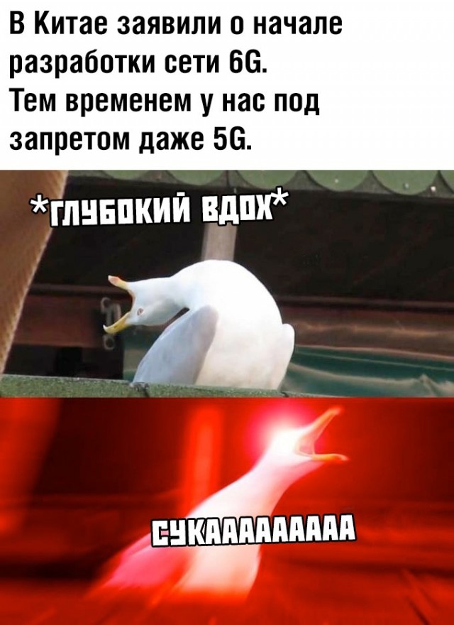 Немного картинок для настроения 11.11.19