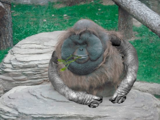 Фотожаба: Всю жизнь за решеткой