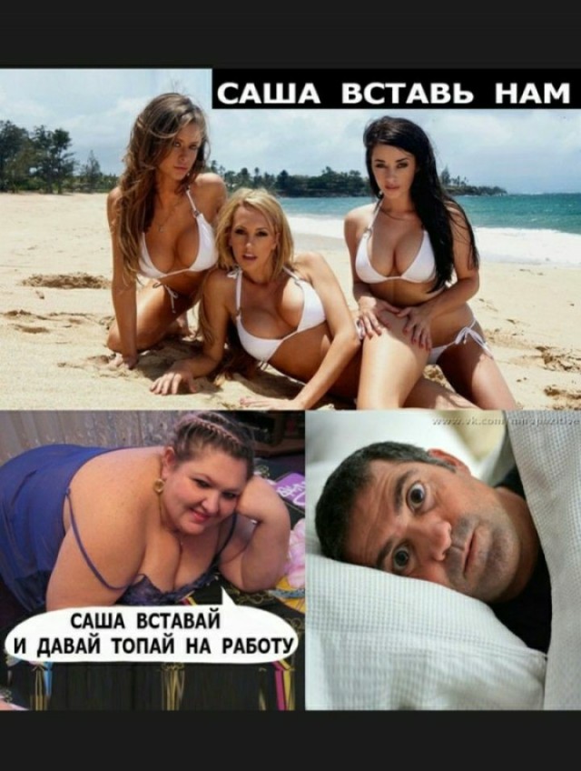 Что женщины думают про холостяков