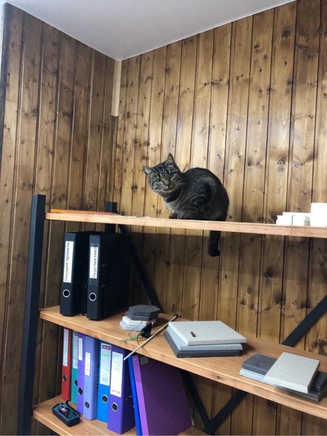 Моя красотка