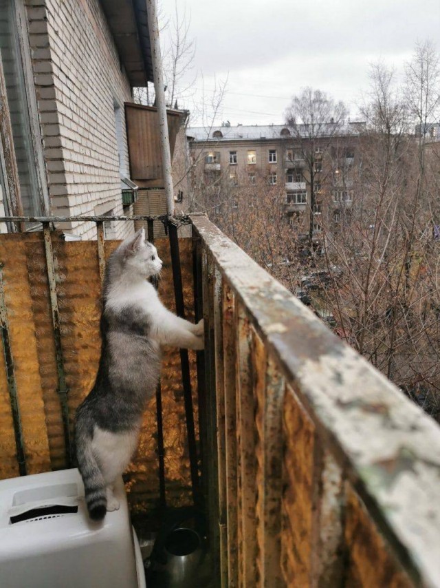 Эстетика е*еней 2