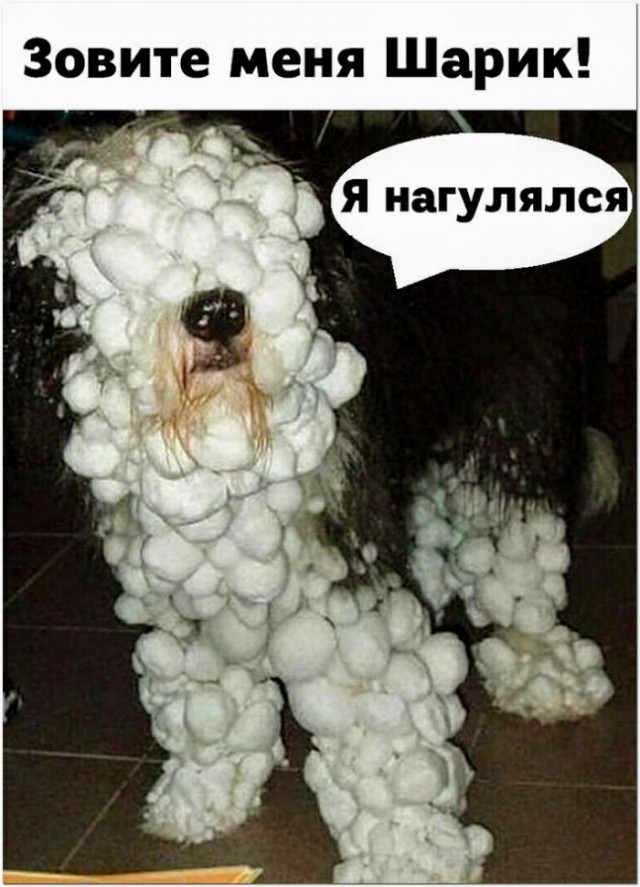 Картинки и мемы для настроения 002