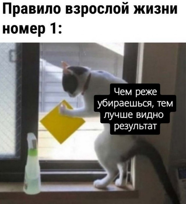 Картинки и мемы для настроения