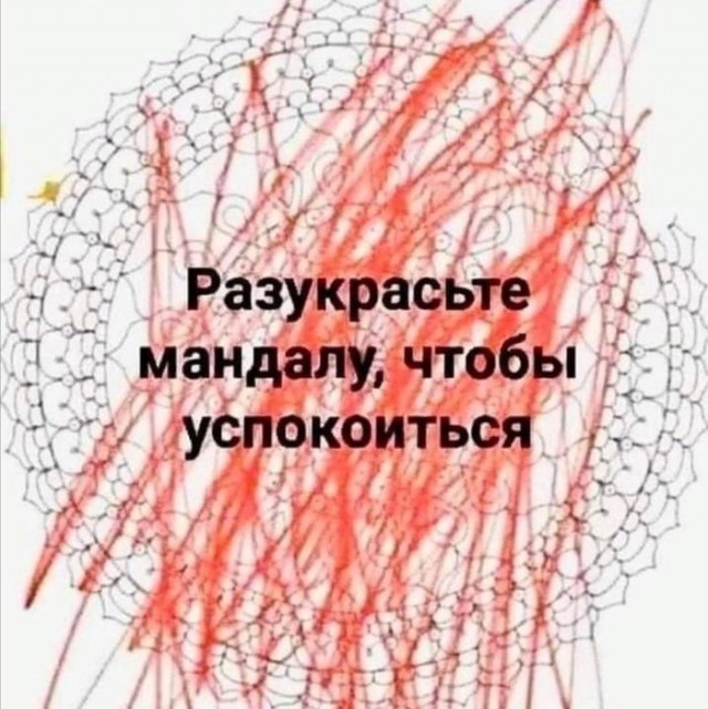 Картинки и мемы для настроения 16.06.2021