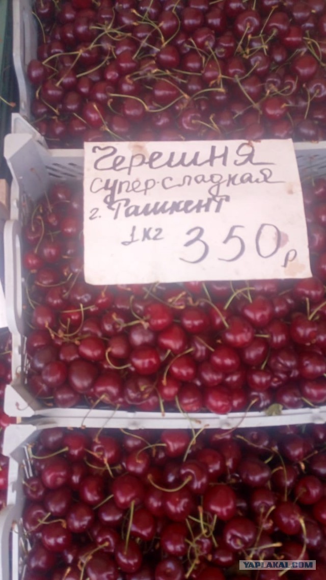 Кулинарная общалка