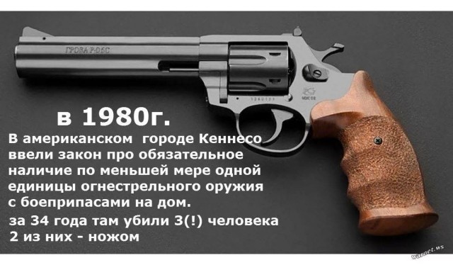 В Чехии право на защиту с помощью оружия теперь будет частью конституции