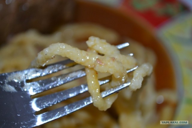 Пятничные посиделки на теплотрассе ©