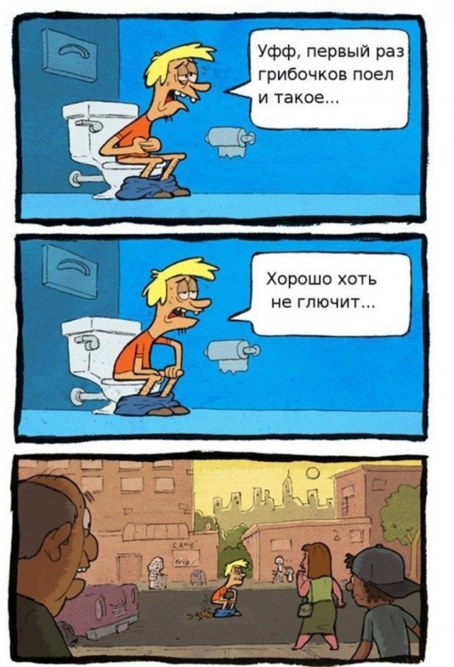 Грибной эксперимент