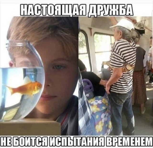 Картинки и мемы, всем прекрасных выходных