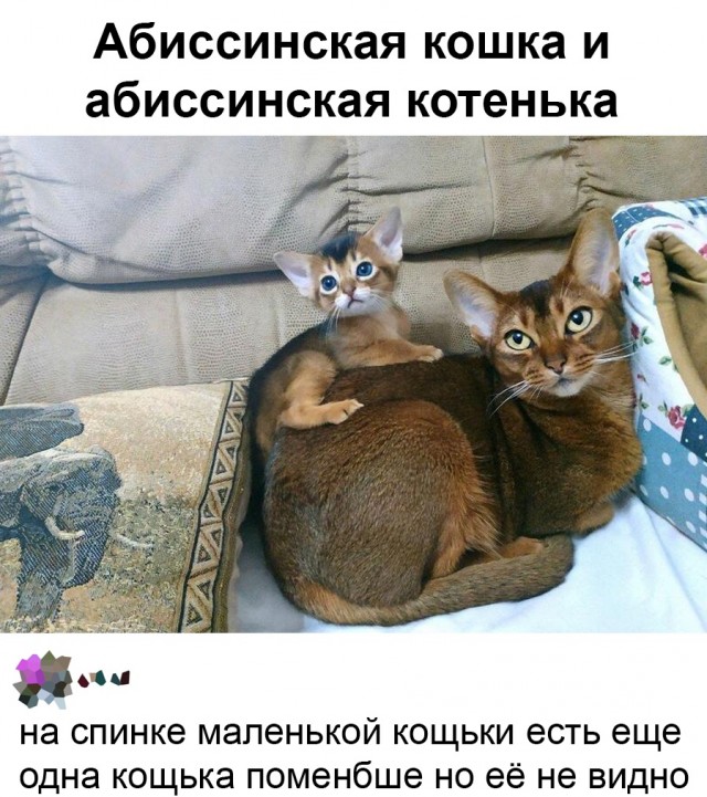 Так себе картинки 23.02.22
