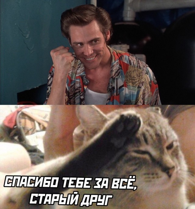 Картинки и мемы, всем отличных выходных