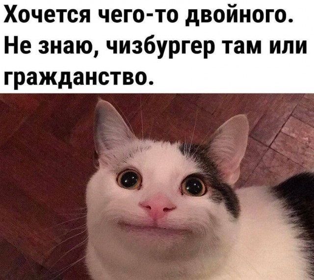 Баянисто-небаянистый юмор 12.04.22