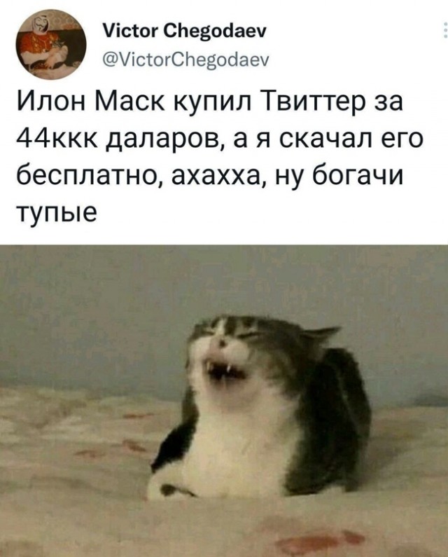 Картинки и мемы, начало праздников