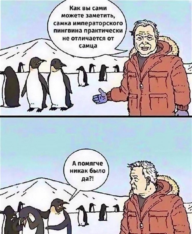 Картинки и мемы, всем хороших выходных