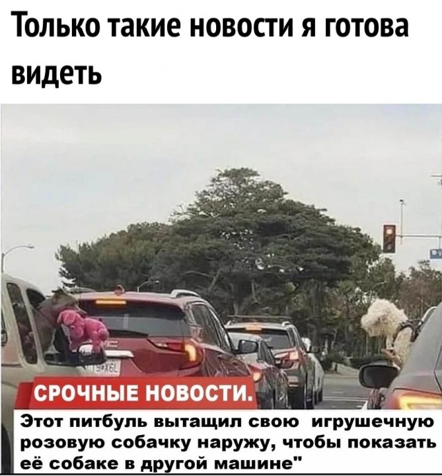 Так себе картинки 11.11.22