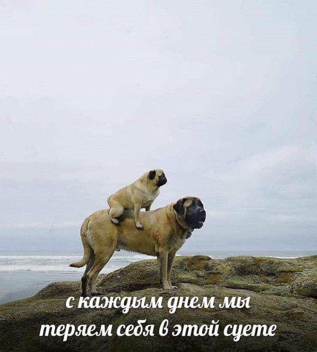 Всего понемногу. Новый выпуск.