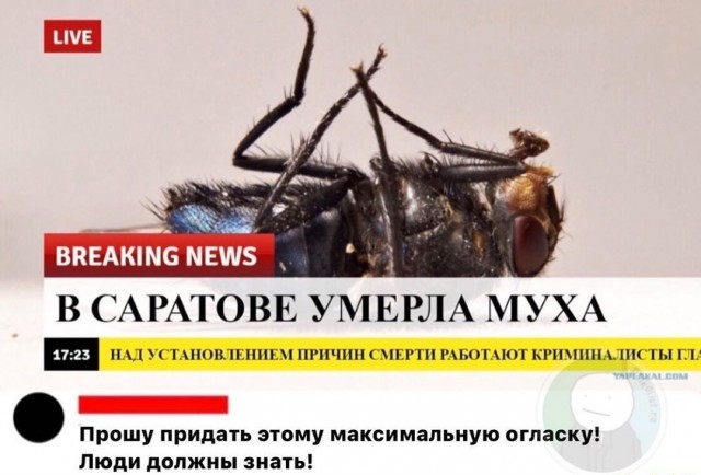 Так себе картинки 07.04.23