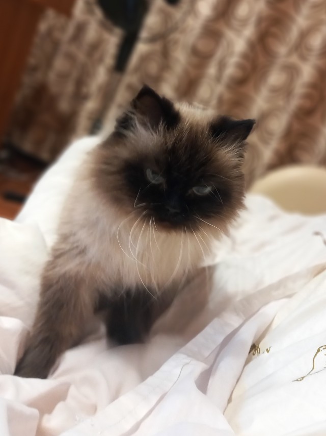 Моя Розетка