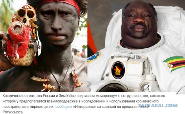 В Зимбабве запрещена критика правительства перед выборами