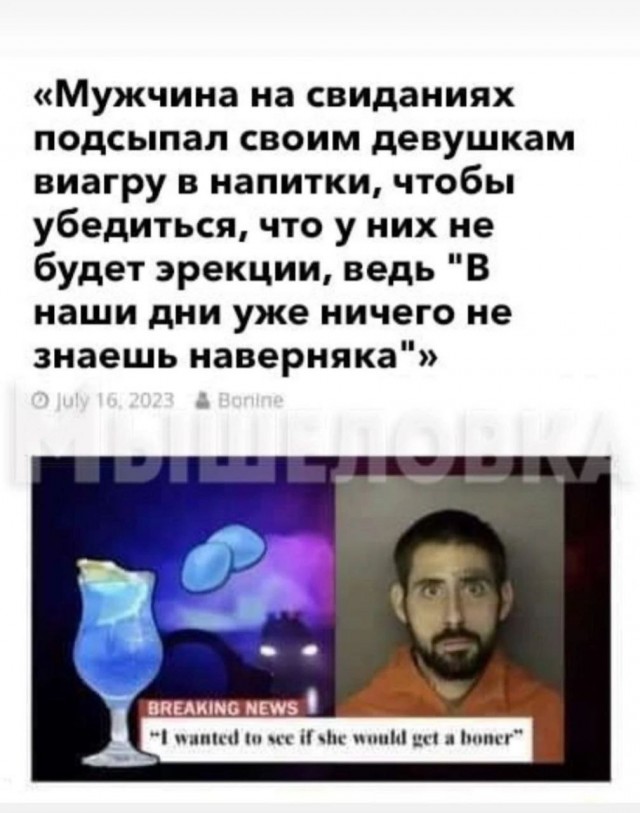 Красивая, сильная и независимая хозяюшка