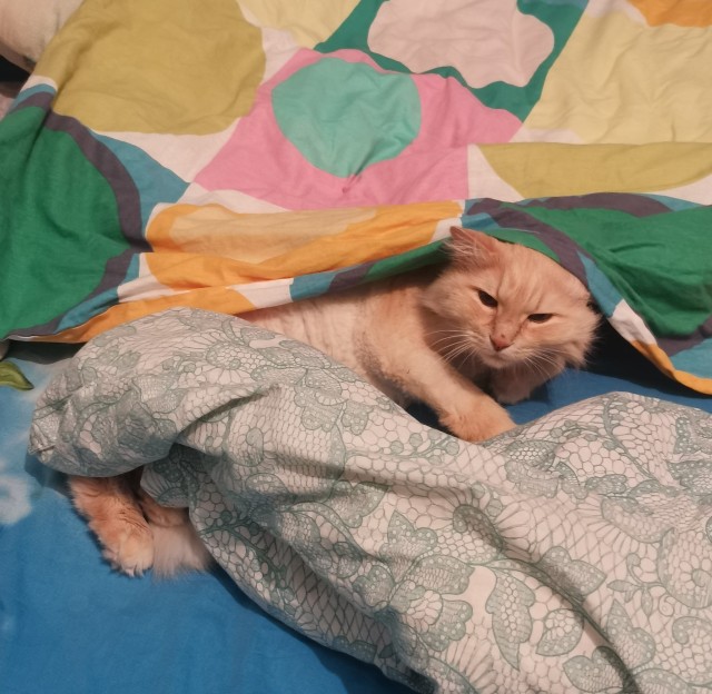 Моя главная потеря в 2023