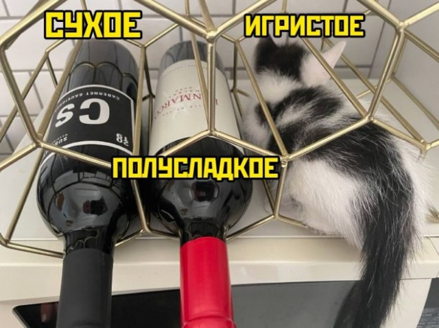 Картинок подвезли