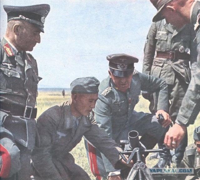 Кто воевал на стороне Гитлера