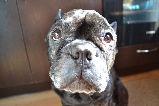 Да откройте же дверь наконец!