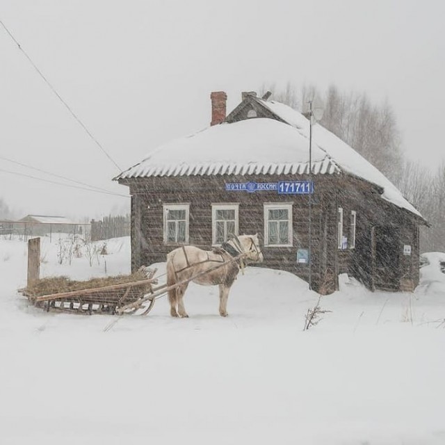 На недельку подальше от всех...