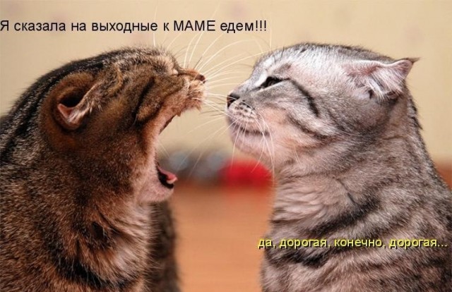 Жена унюхала измену