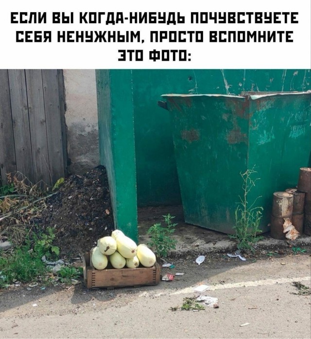 Началось!