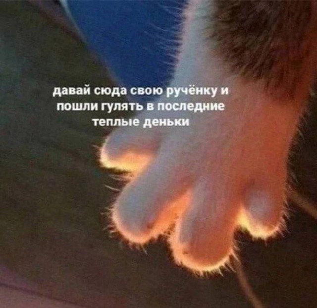 Нуштош 19.09.2024