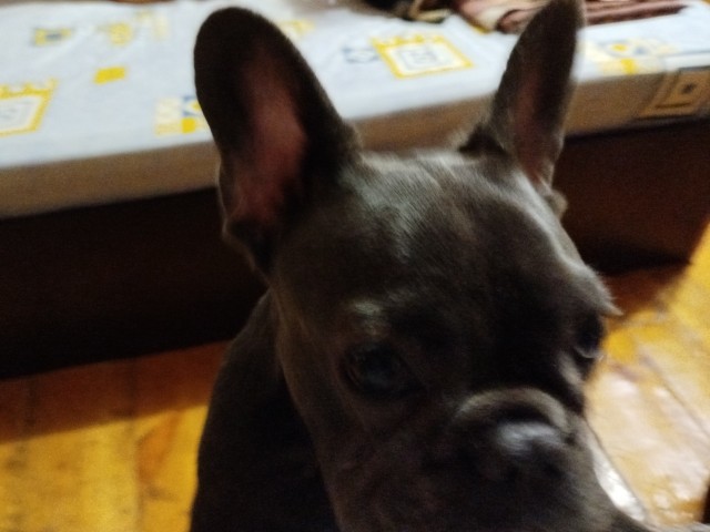 А у Даны д.р. Ей 10 лет!