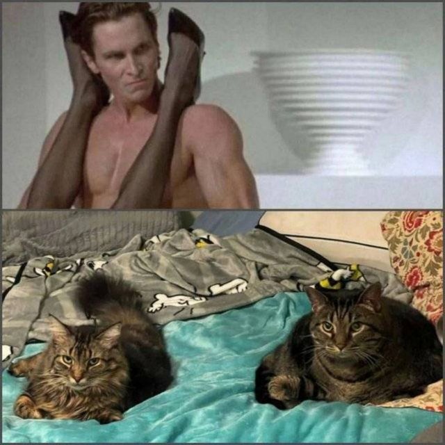 Картинки разные с надписями и без