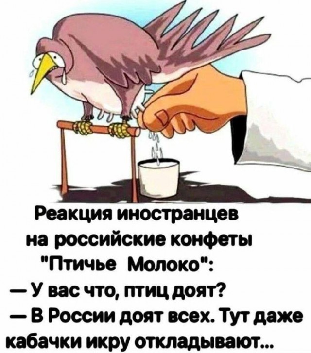 Завалялось тут случайно немного забавных картинок