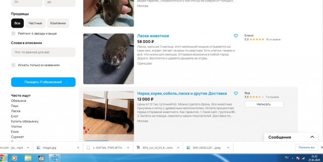 Одинокие женщины наслаждаются жизнью, а холостые мужчины несчастны и сексуально не удовлетворены, - исследование