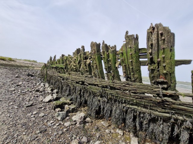 Saxon Shore Way - прогулка по побережью Альбиона (частичная)