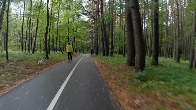 Велосипедисты и пешеходы