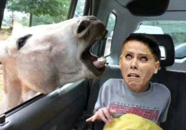 Фотожаба Гимнасточка