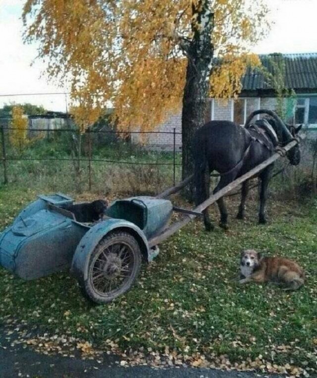 Прикольные и просто красивые картинки 31.10.2025