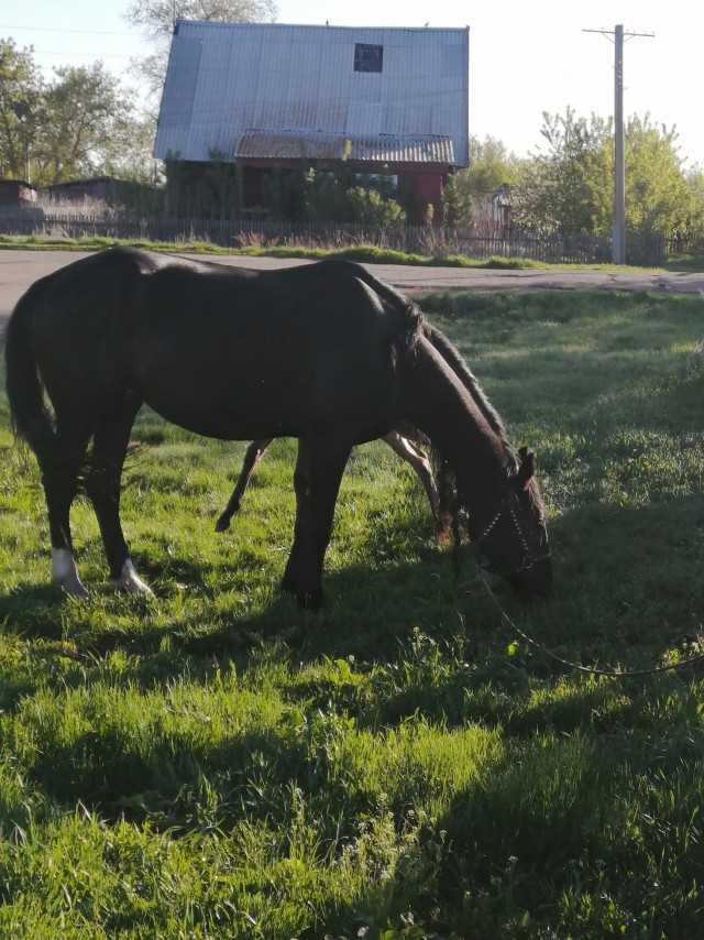 Утро начинается...