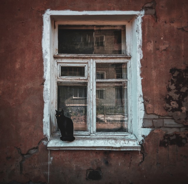 Моя мобильная фотография.
