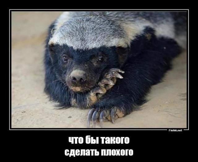 Литературный клуб "Птица Говорун"