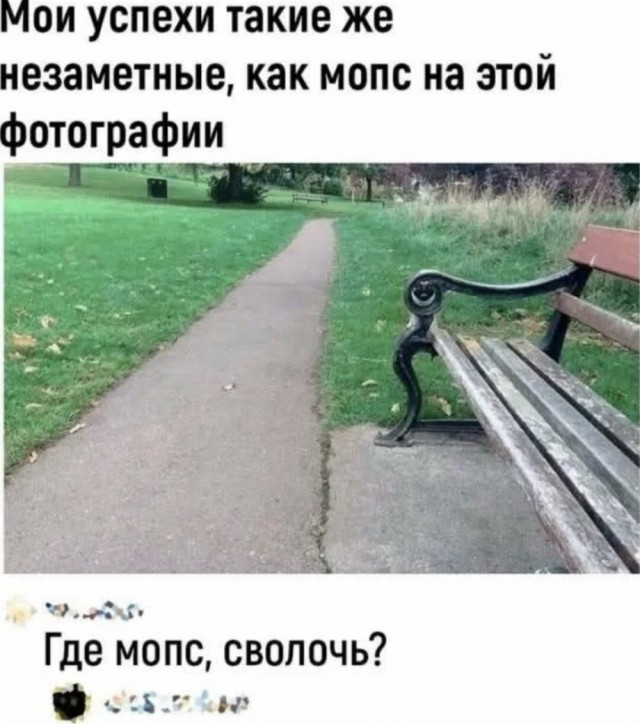 Картинки для деградации 106 (разной степени свежести)