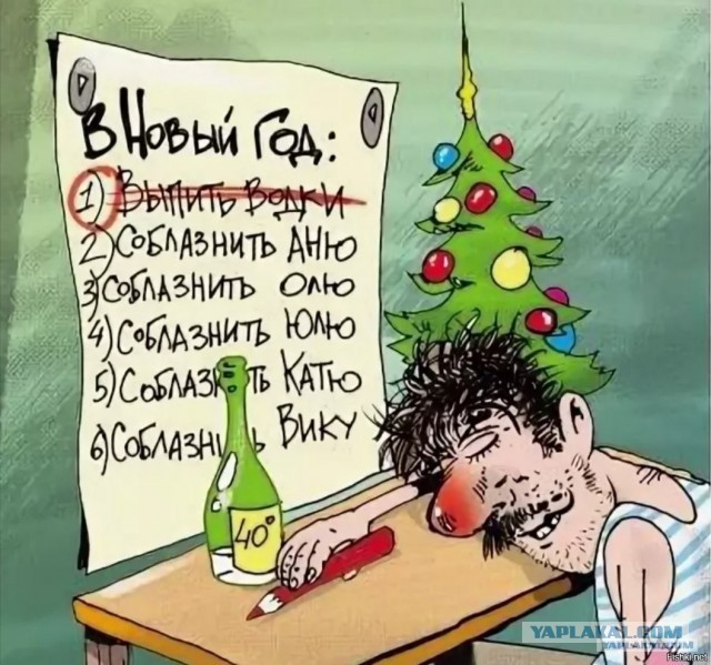 Как я встречу Новый Год.