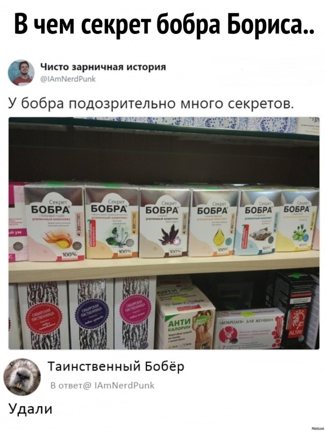 Бобр это не только ценный мех...