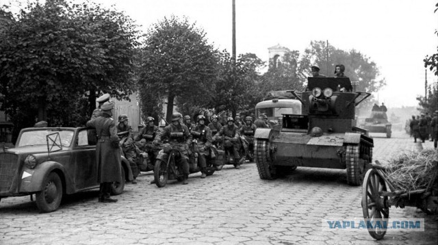 Песков: ненависть ко всему русскому взяла верх у руководства Польши